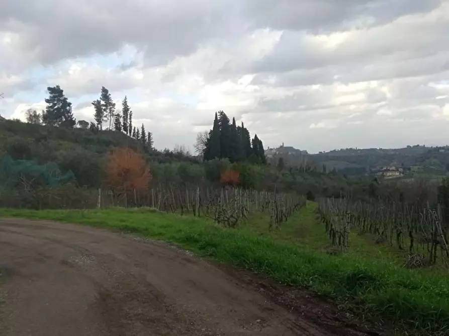 Immagine 3 di Terreno agricolo in vendita  a San Miniato