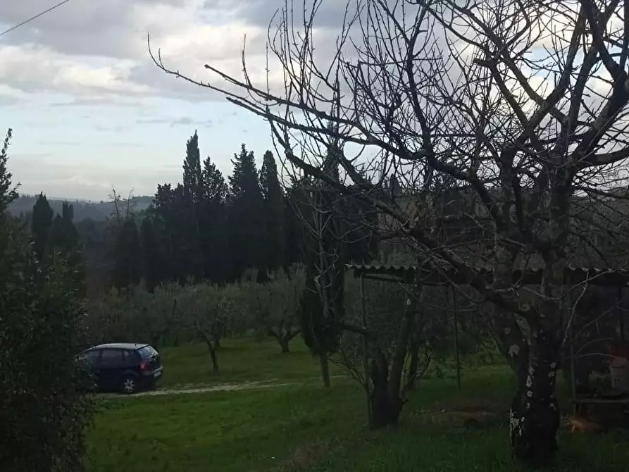 Immagine 4 di Terreno agricolo in vendita  a San Miniato