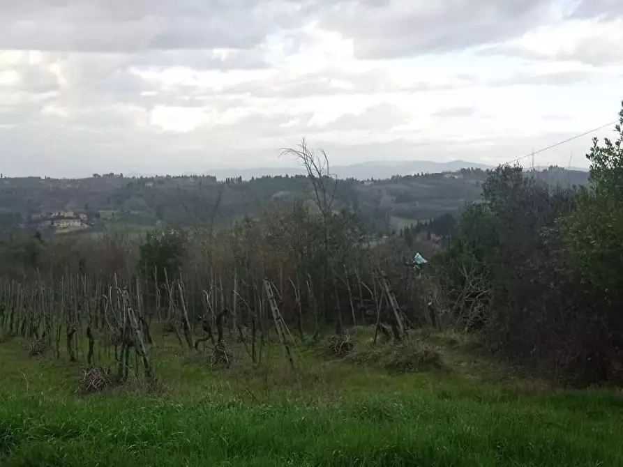 Immagine 2 di Terreno agricolo in vendita  a San Miniato