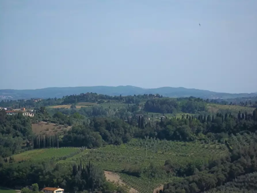 Immagine 1 di Terreno agricolo in vendita  a San Miniato