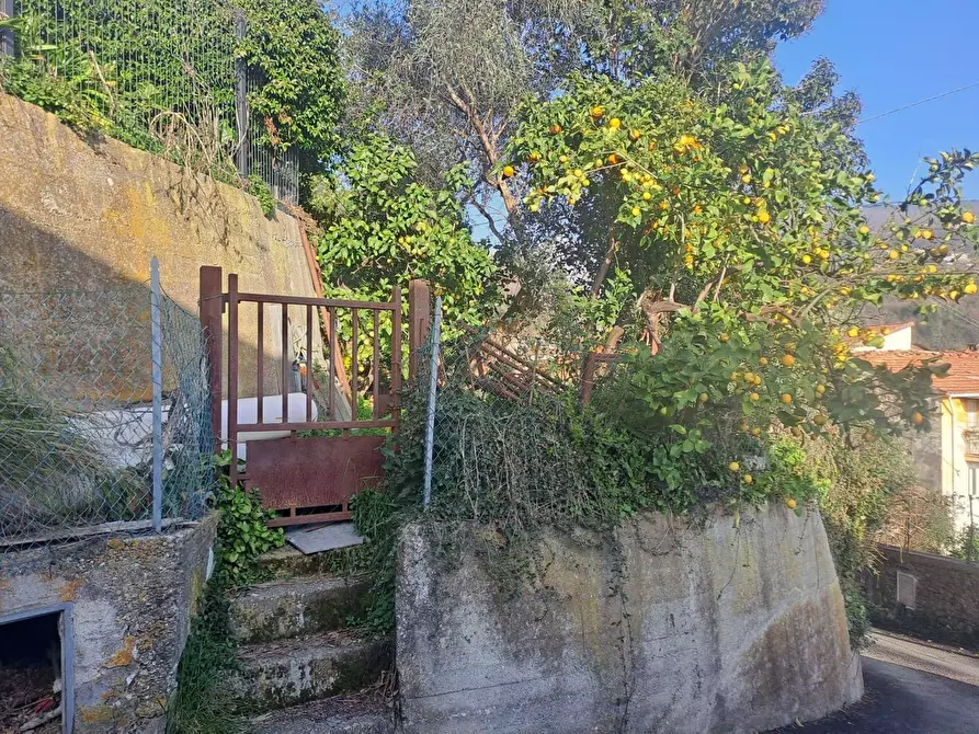 Immagine 15 di Casa semindipendente in vendita  a Massa