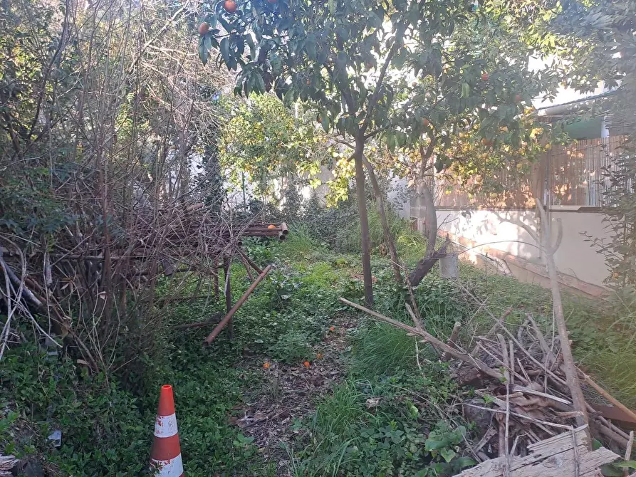 Immagine 18 di Casa semindipendente in vendita  a Massa