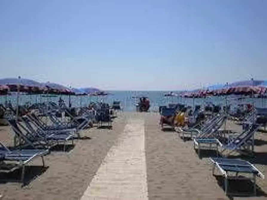 Immagine 8 di Locale commerciale in affitto  a Carrara