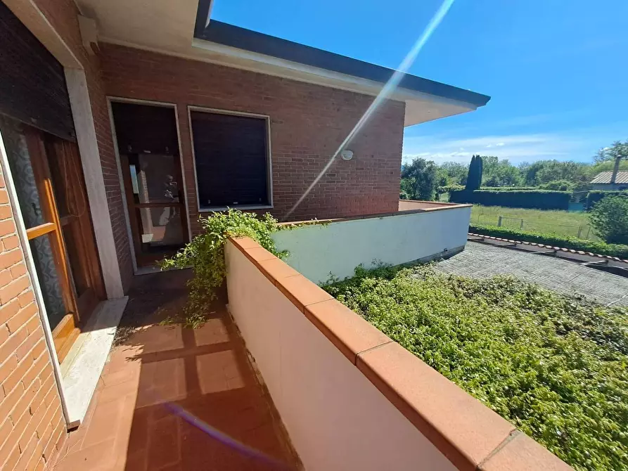 Immagine 23 di Villa in affitto  a Forte Dei Marmi