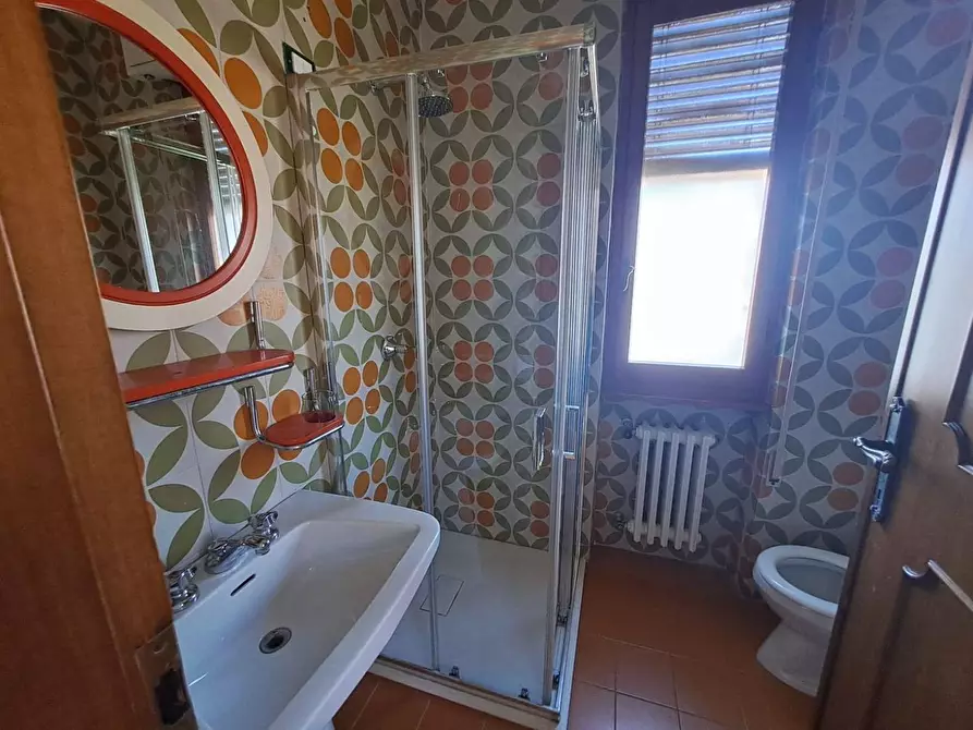 Immagine 16 di Villa in affitto  a Forte Dei Marmi