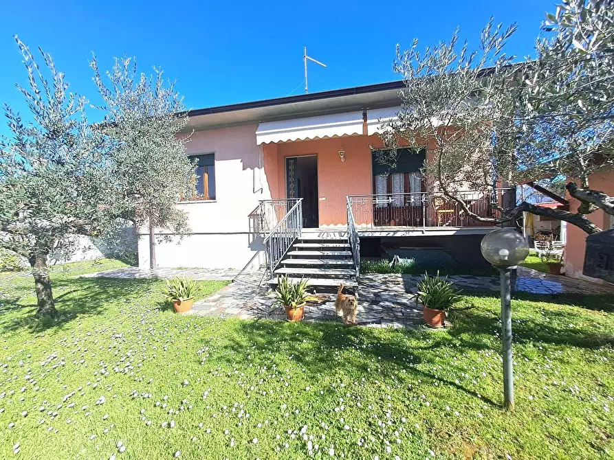 Immagine 2 di Villa in affitto  a Massa