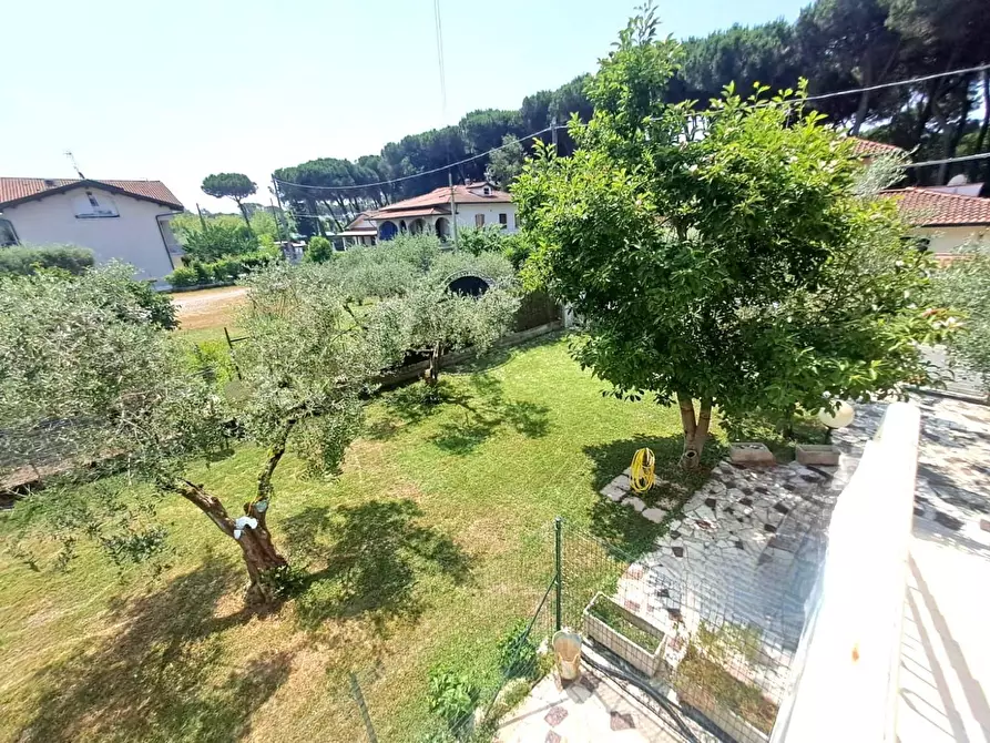 Immagine 21 di Casa semindipendente in vendita  a Massa