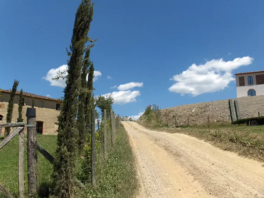 Immagine 1 di Casa colonica in vendita  a Peccioli