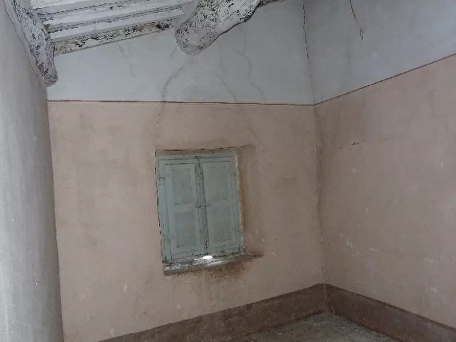 Immagine 9 di Rustico / casale in vendita  a Calci