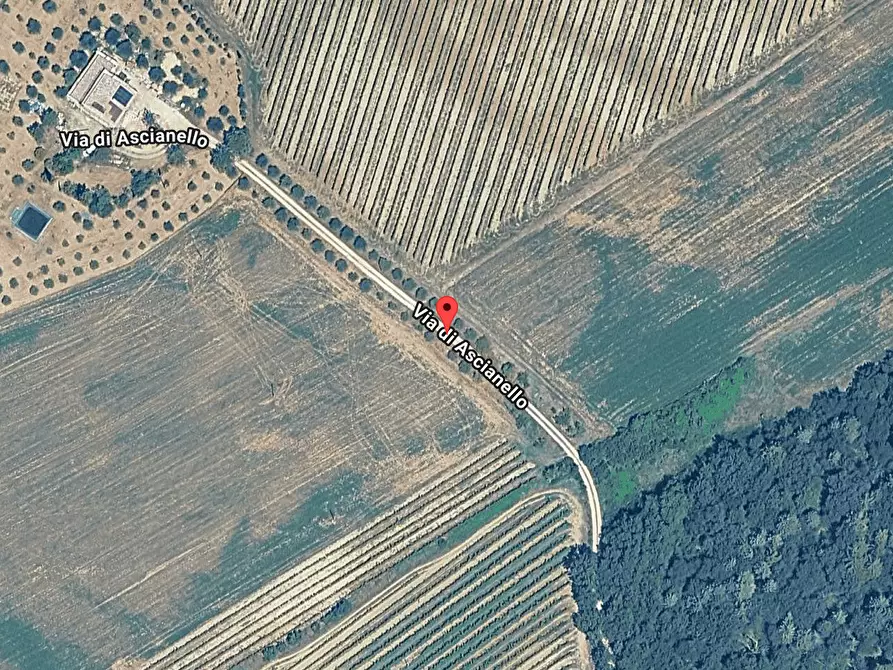 casa indipendente in vendita a Montepulciano in zona Ascianello