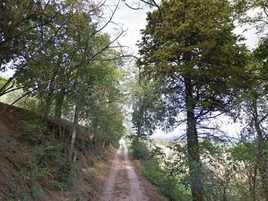 terreno in vendita a Torgiano