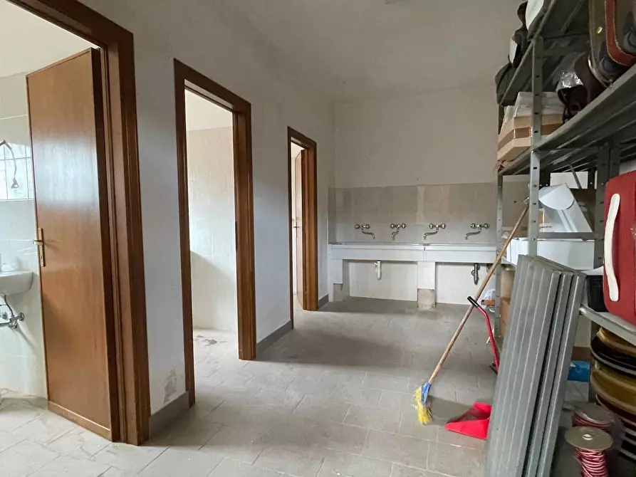 Immagine 11 di Capannone industriale in vendita  a Montecarlo