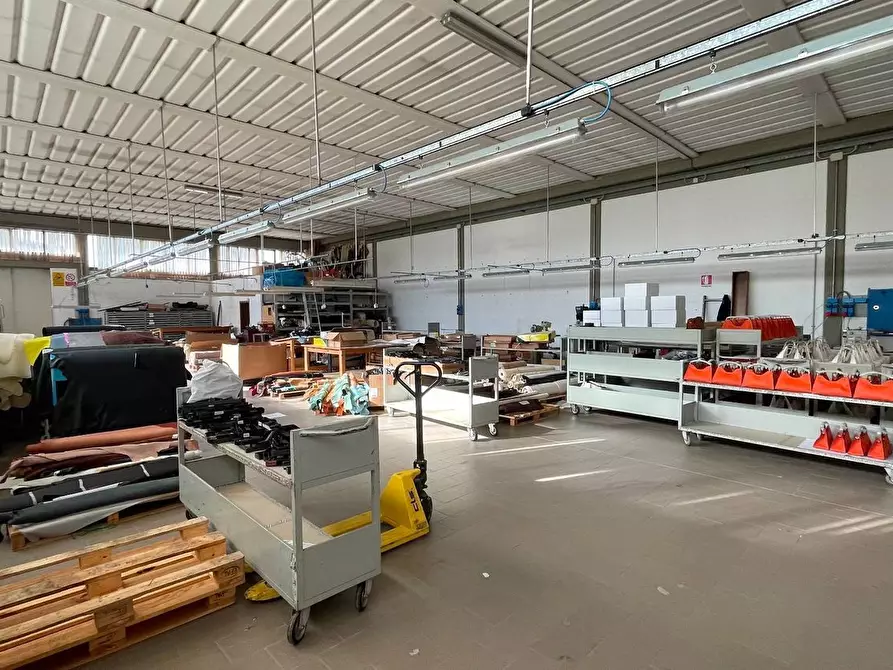 Immagine 4 di Capannone industriale in vendita  a Montecarlo
