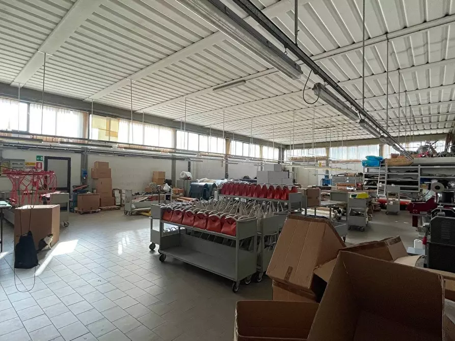 Immagine 3 di Capannone industriale in vendita  a Montecarlo