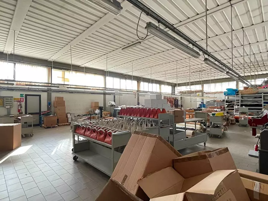 Immagine 2 di Capannone industriale in vendita  a Montecarlo