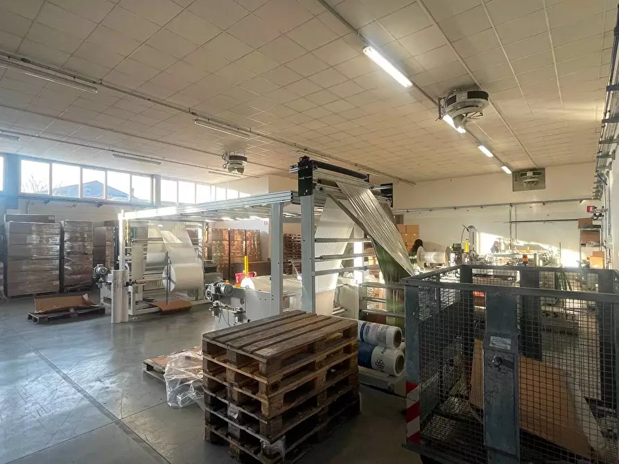 Immagine 5 di Capannone industriale in affitto  a Pescia
