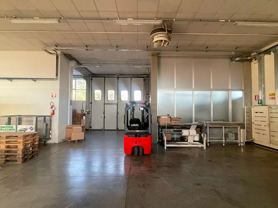 Immagine 4 di Capannone industriale in affitto  a Pescia