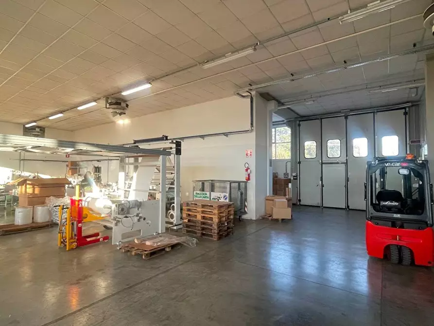 Immagine 3 di Capannone industriale in affitto  a Pescia