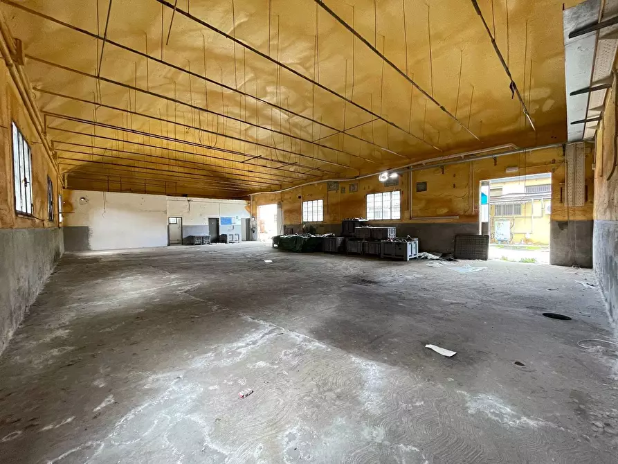 Immagine 2 di Capannone industriale in vendita  a Santa Croce Sull'arno