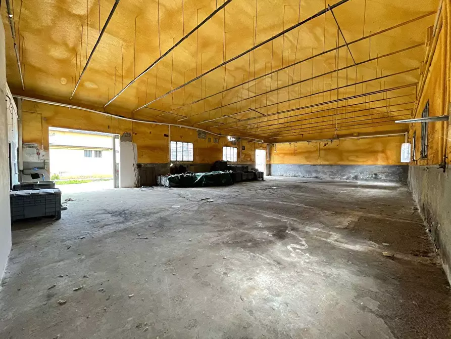 Immagine 3 di Capannone industriale in vendita  a Santa Croce Sull'arno