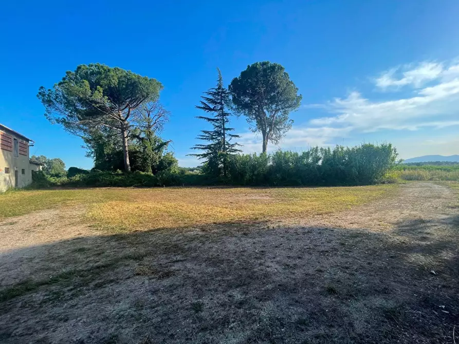 Immagine 9 di Casa colonica in vendita  a Ponte Buggianese