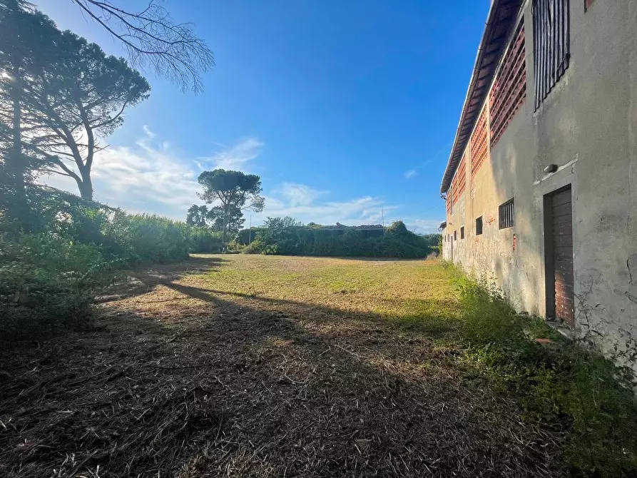 Immagine 6 di Casa colonica in vendita  a Ponte Buggianese