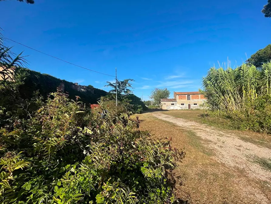 Immagine 12 di Casa colonica in vendita  a Ponte Buggianese