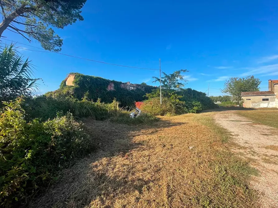Immagine 11 di Casa colonica in vendita  a Ponte Buggianese