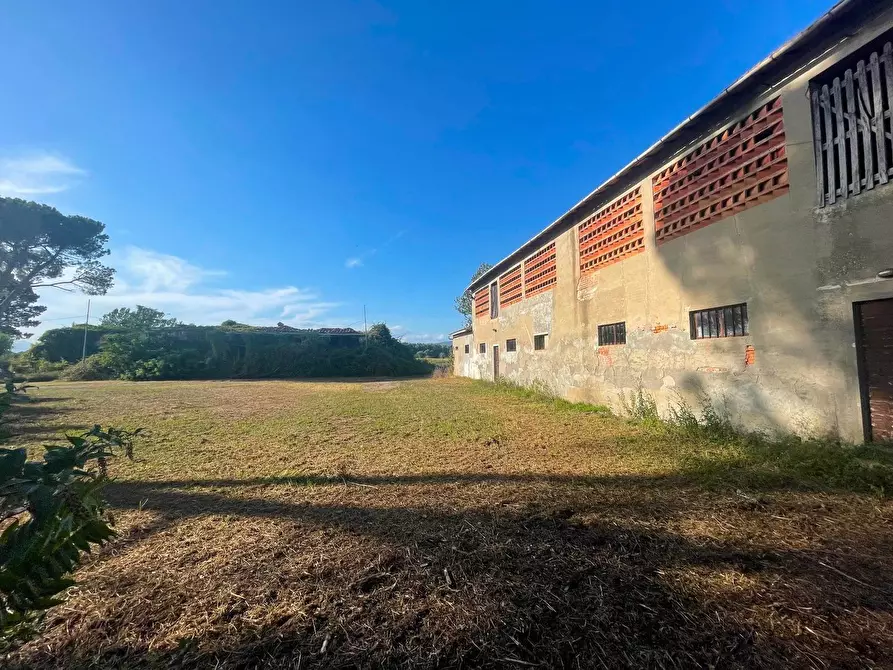 Immagine 5 di Casa colonica in vendita  a Ponte Buggianese