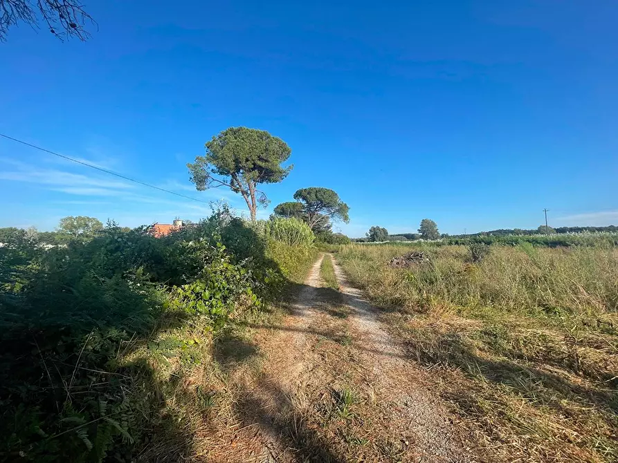 Immagine 14 di Casa colonica in vendita  a Ponte Buggianese