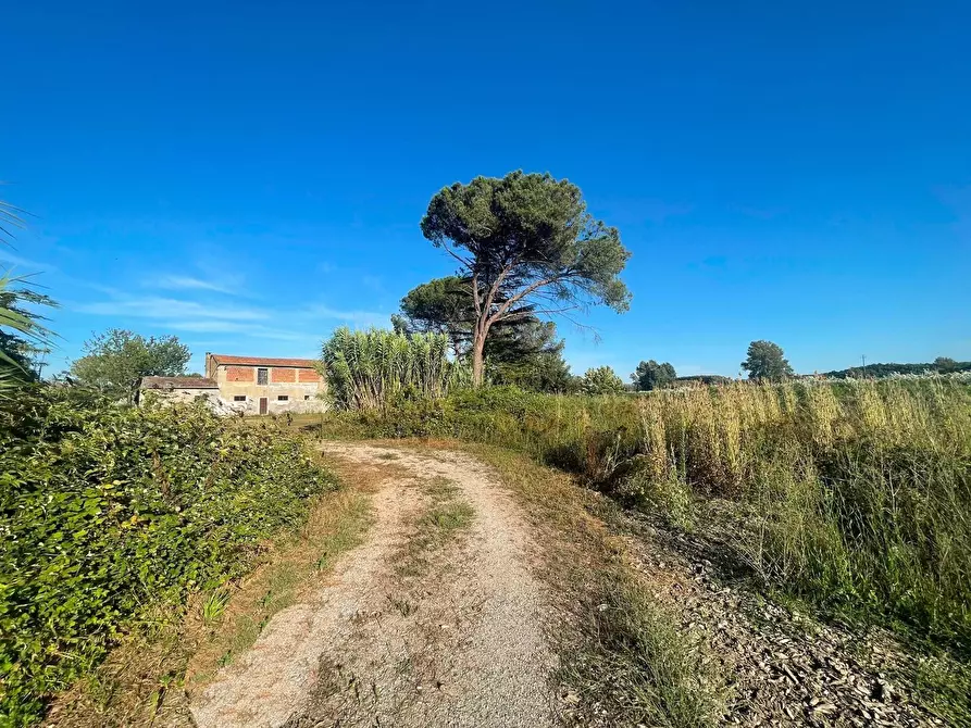 Immagine 13 di Casa colonica in vendita  a Ponte Buggianese