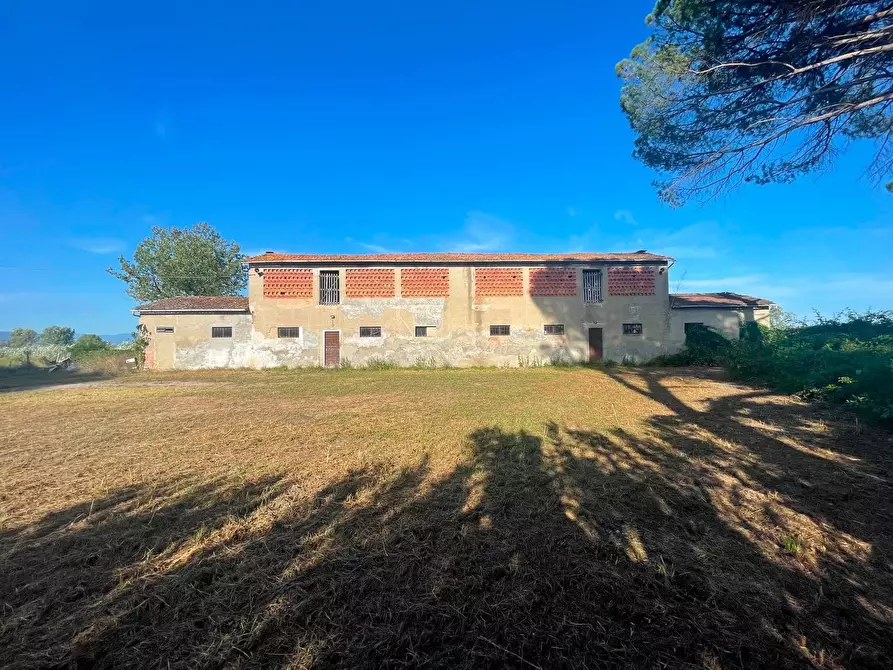 Immagine 3 di Casa colonica in vendita  a Ponte Buggianese