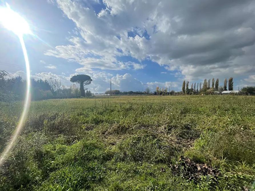 Immagine 4 di Casa colonica in vendita  a Altopascio
