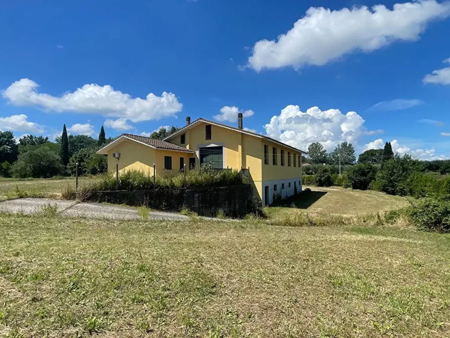 Immagine 1 di Magazzino in vendita  a Fucecchio