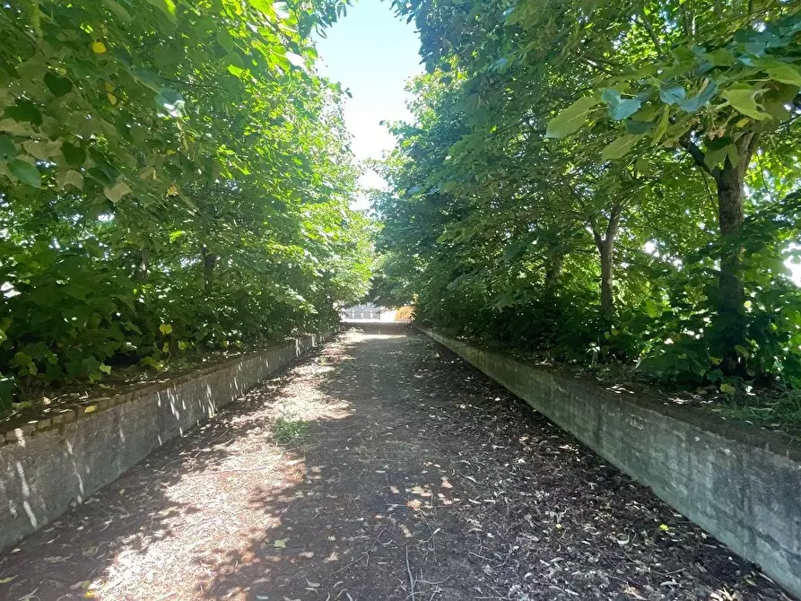 Immagine 16 di Magazzino in vendita  a Fucecchio