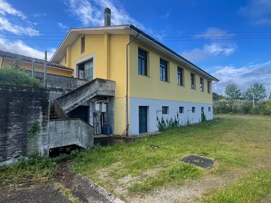 Immagine 5 di Magazzino in vendita  a Fucecchio