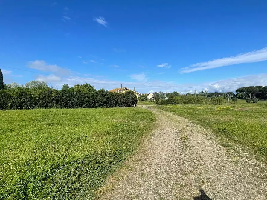 Immagine 27 di Magazzino in vendita  a Fucecchio