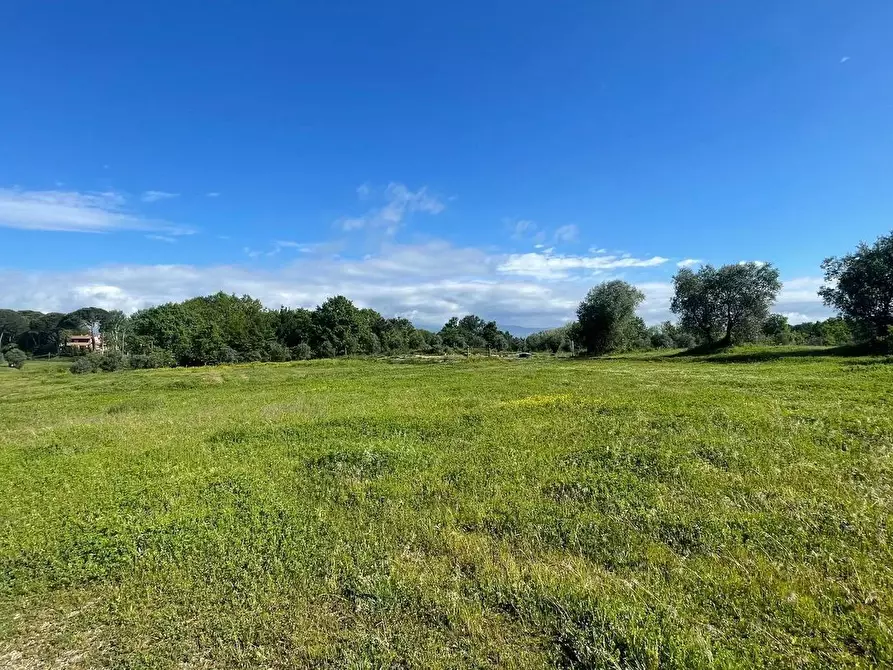 Immagine 28 di Magazzino in vendita  a Fucecchio