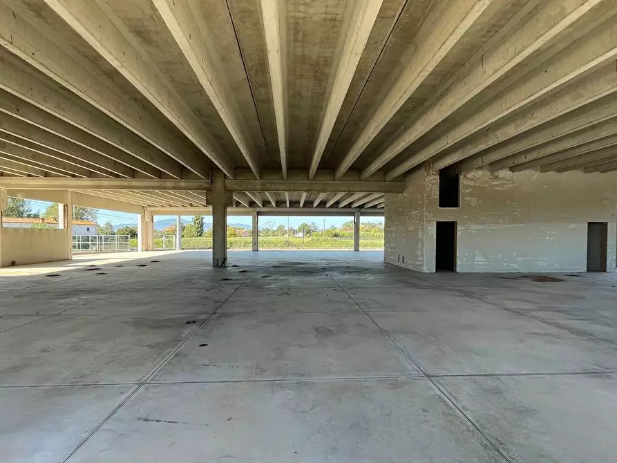 Immagine 3 di Capannone industriale in affitto  a Buggiano