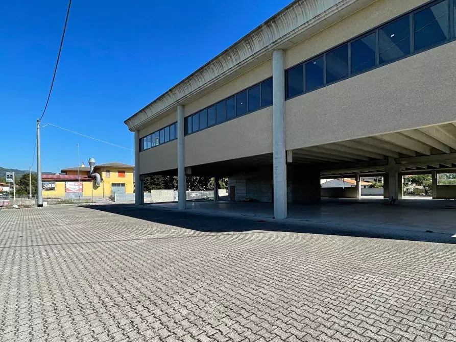 Immagine 2 di Capannone industriale in affitto  a Buggiano