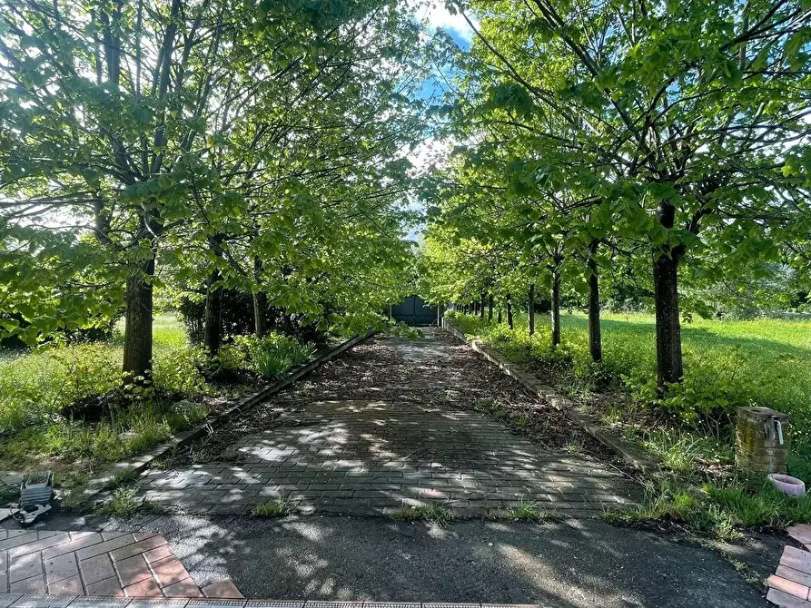 Immagine 16 di Villa in vendita  a Fucecchio