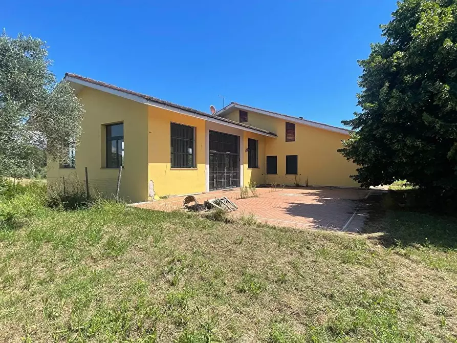 Immagine 11 di Villa in vendita  a Fucecchio