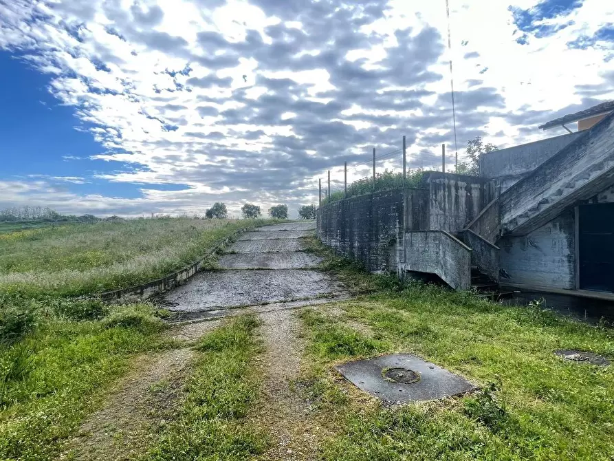 Immagine 6 di Villa in vendita  a Fucecchio