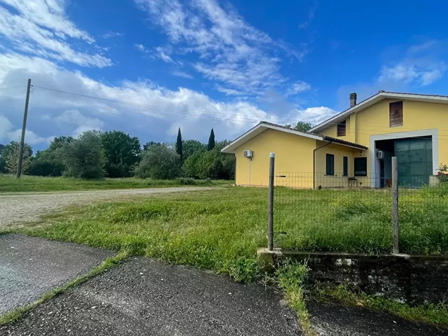 Immagine 3 di Villa in vendita  a Fucecchio