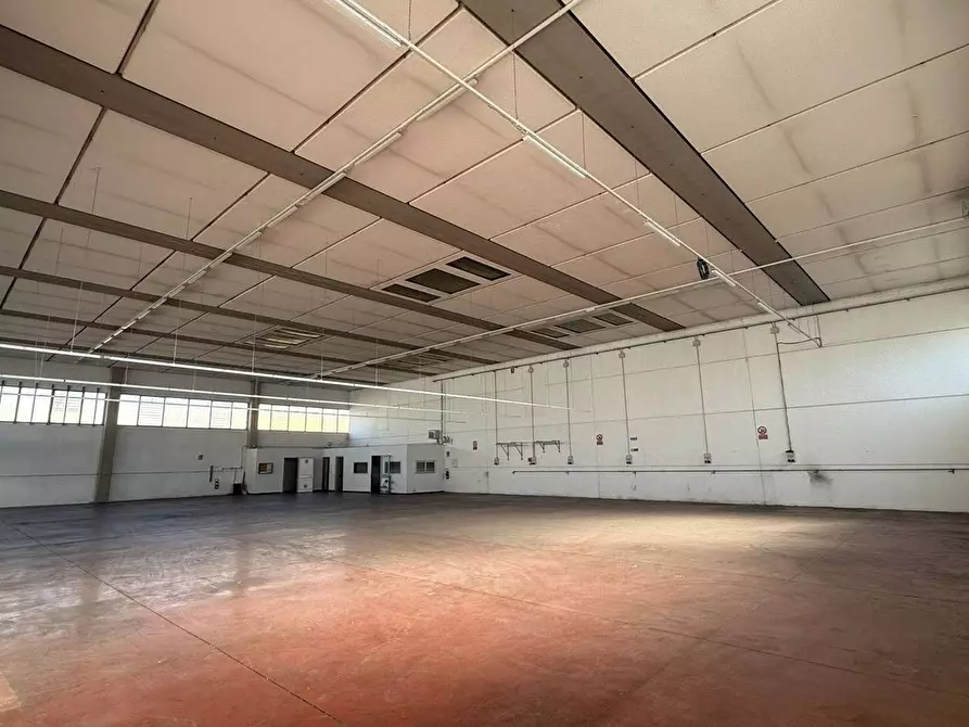 Immagine 4 di Capannone industriale in vendita  a Altopascio