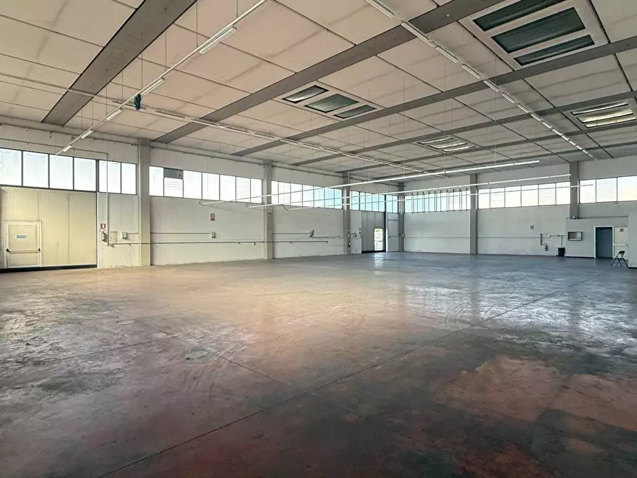Immagine 3 di Capannone industriale in vendita  a Altopascio