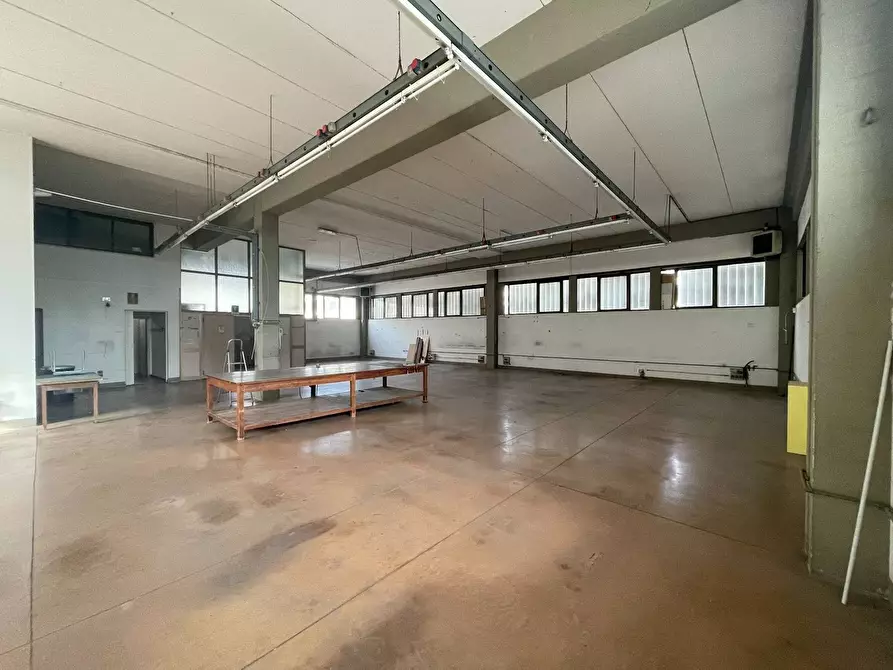 Immagine 3 di Capannone industriale in vendita  a Pieve A Nievole