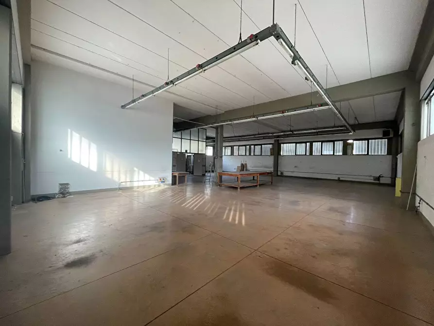 Immagine 4 di Capannone industriale in vendita  a Pieve A Nievole