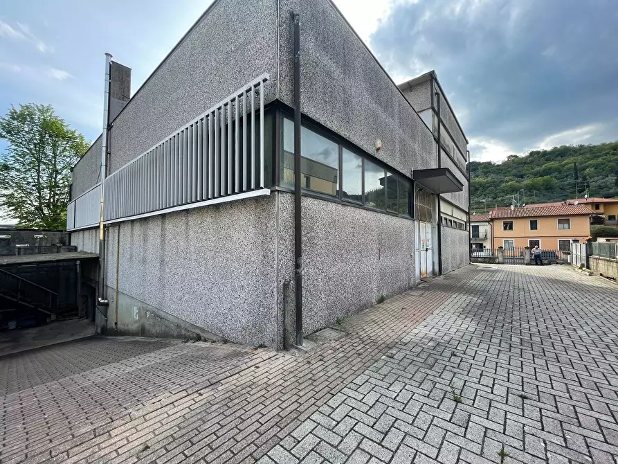 Immagine 35 di Capannone industriale in vendita  a Pieve A Nievole