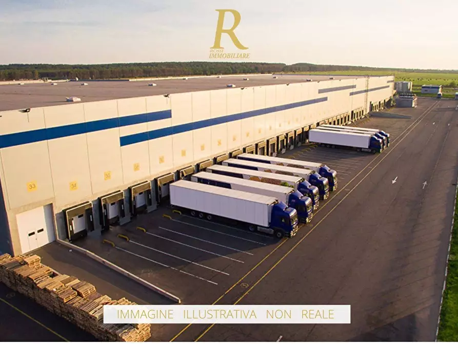 Immagine 4 di Capannone industriale in vendita  a Altopascio